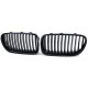 Body kit and visual accessories RACES grille (Sport Performance) for BMW 5 Series F10 F11 10-17, glossy black | races-shop.com