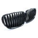 Body kit and visual accessories Sport Radiator Grill Performance Black Gloss fit for BMW Z4 E85 E86 02-09 | races-shop.com