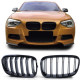 Body kit and visual accessories RACES grille (Sport Double Bar) for BMW 1 Series F20 F21 10-14, gloss | races-shop.com