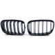 Body kit and visual accessories RACES grille (Sport Double Bar) for BMW 1 Series F20 F21 10-14, gloss | races-shop.com