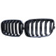 Body kit and visual accessories RACES grille (Sport Double Bar) for BMW 1 Series F20 F21 10-14, gloss | races-shop.com