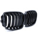 Body kit and visual accessories RACES grille (Sport Double Bar) for BMW 1 Series F20 F21 10-14, gloss | races-shop.com