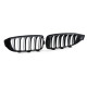 Body kit and visual accessories Sport double bar radiator grille Performance Matt suitable for 4 series BMW F32 F33 F36 | races-shop.com