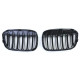 Body kit and visual accessories Sport grille double bar performance gloss fit for BMW X1 F48 14-19 | races-shop.com