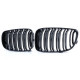 Body kit and visual accessories RACES grille (Double Bar Performance) for BMW E81 E82 E87 E88 LCI, gloss | races-shop.com