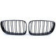 Body kit and visual accessories RACES grille (Double Bar Performance) for BMW E81 E82 E87 E88 LCI, gloss | races-shop.com