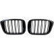 Body kit and visual accessories RACES grille (Sport Double Bar) for BMW X3 G01 X4 G02 from 17, gloss | races-shop.com