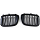 Body kit and visual accessories RACES grille (Sport Double Bar) for BMW X3 G01 X4 G02 from 17, gloss | races-shop.com
