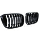 Body kit and visual accessories RACES grille (Sport Performance) for BMW X3 G01 X4 G02 from 17, gloss | races-shop.com