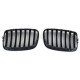 Body kit and visual accessories Sport Grille Performance Black Matt fit for BMW X5 E70 X6 E71 06-13 | races-shop.com