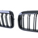 Body kit and visual accessories RACES grille (Double Bar Performance) for BMW 6 Series GT G32 17-20, gloss | races-shop.com