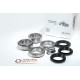 RacingDiffs RacingDiffs differential bearing set - Differential type 210mm for BMW (E46 M3/E39 M5) | races-shop.com