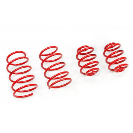MTS Technik komplet Lowering springs MTS Technik for Seat Leon I (1M1) 2000 - 08/05, 45 mm / 45 mm | races-shop.com