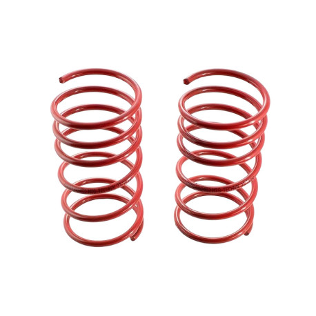 MTS Technik komplet Lowering springs MTS Technik for Tesla Model 3 2018 -, 30 mm / 30 mm | races-shop.com