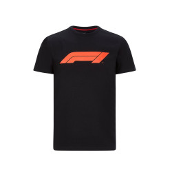 Men`s t-shirt F1, black