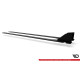 Body kit and visual accessories Racing Durability Side Skirts Diffusers Honda Civic X Type-R | races-shop.com