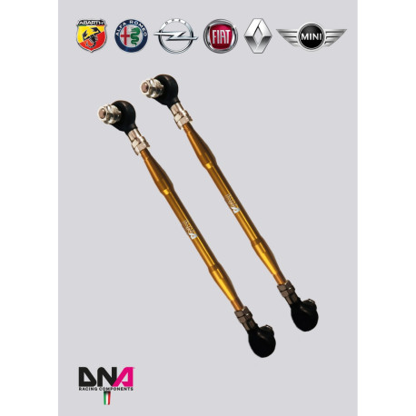 New DNA RACING front sway bar tie rods on uniball for RENAULT Clio III - RS incl. | races-shop.com