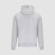Hoodies and jackets Mercedes-AMG Petronas Logo hoodie, grey | races-shop.com