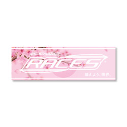 Sticker RACES JDM - various colours