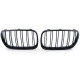 Body kit and visual accessories Drivers side kidney grill for BMW X3 E83 (06-11) | races-shop.com