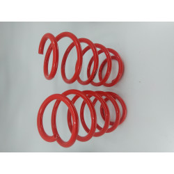 Lowering springs MTS Technik for Volkswagen Passat B7 Kombi 10/10 - 10/14, 30 mm / 25 mm INCOMPLETE