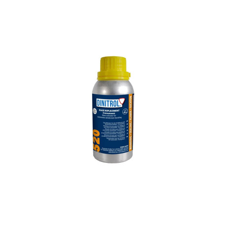 Window tools DINITROL 520 cleaner 250 ml | races-shop.com
