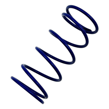 Replacement parts and accessories RACES Wastegate replacement spring BLUE, 0,55BAR | races-shop.com