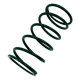 Replacement parts and accessories RACES Wastegate replacement spring GREEN, 0,63BAR | races-shop.com