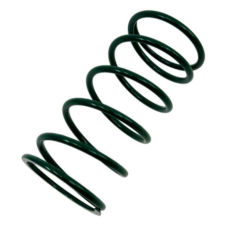 Replacement parts and accessories RACES Wastegate replacement spring GREEN, 0,63BAR | races-shop.com