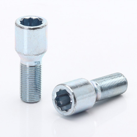 Outlet Set of imbus bolts +key, 20 pcs, M12x.75 INCOMPLETE | races-shop.com