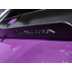 Winters/ Bulldog NISUBA Winters differential protector | races-shop.com