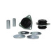 Whiteline sway bars and accessories Whiteline W81655 Trailing Arm Lower Front Bushing Kit | races-shop.com