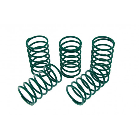 Replacement parts and accessories Wastegate replacement spring 49mm, 0,6BAR | races-shop.com