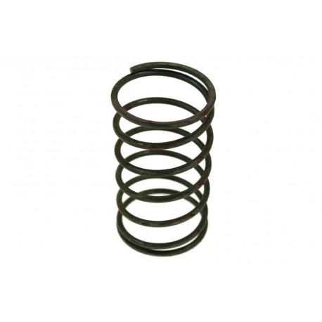 Replacement parts and accessories Wastegate replacement spring 59mm, 1,6BAR | races-shop.com
