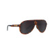 Sunglasses Sunglasses Pit Viper - The Landlocked Polarized Jethawk | races-shop.com