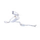  XFORCE exhaust systems 3" Cat-Back System for FORD FOCUS 2006-2011 ST | races-shop.com