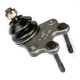 Pedders Pedders PBJ837 Ball Joint | races-shop.com
