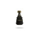 Pedders Pedders PBJ8036 Ball Joint | races-shop.com