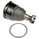 Pedders Pedders PBJ4981 Ball Joint | races-shop.com