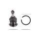 Pedders Pedders PBJ3881 Ball Joint | races-shop.com