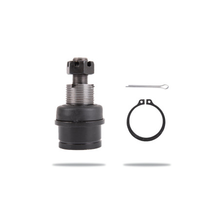 Pedders Pedders PBJ3137 Ball Joint | races-shop.com