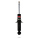 Sport shock absorbers Pedders 8212 Shock Absorber | races-shop.com