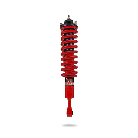 Sport shock absorbers Pedders 807201 EziFit Foam Strut (280071) | races-shop.com