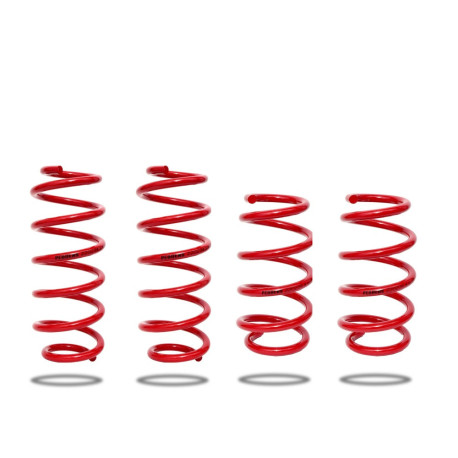 Pedders Pedders 803633 Lowering Kit Spring Only. Tesla Model 3 Rear Wheel Drive Models. 2017 on | races-shop.com