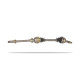 Drive Shafts Pedders 410057R CV - Shafts | races-shop.com