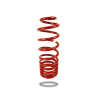 Pedders 280129 Trakryder Coil Spring