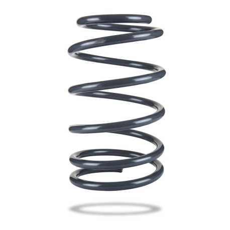 Pedders Pedders 202954 Coil Spring | races-shop.com