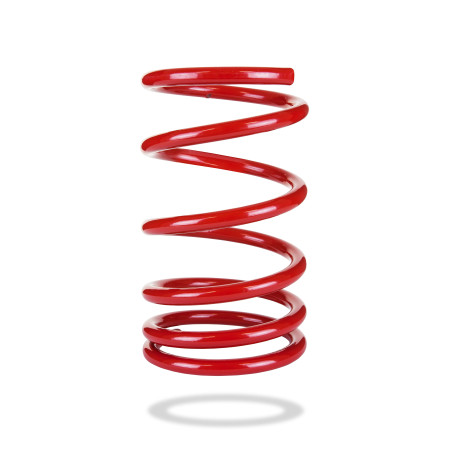 Pedders Pedders 2019 Sportsryder Coil Spring | races-shop.com