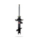 Sport shock absorbers Pedders 129050L Sealed Strut | races-shop.com