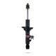 Sport shock absorbers Pedders 124300L Shock Absorber | races-shop.com